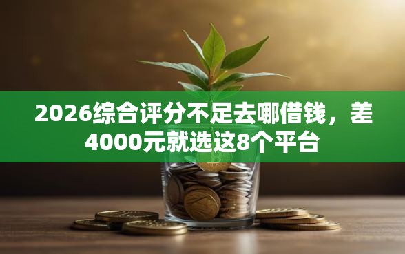 2026综合评分不足去哪借钱，差4000元就选这8个平台