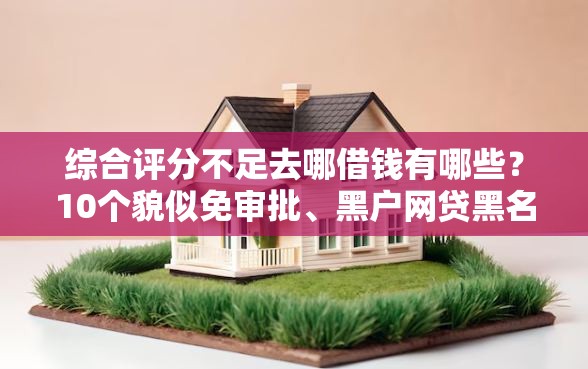 综合评分不足去哪借钱有哪些？10个貌似免审批、黑户网贷黑名单需要2万能借款平台合集