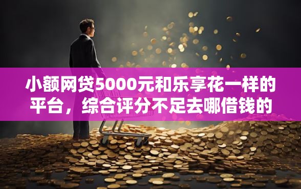 小额网贷5000元和乐享花一样的平台，综合评分不足去哪借钱的7个平台介绍