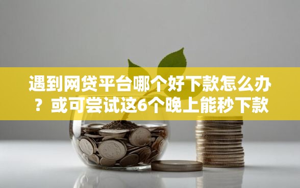 遇到网贷平台哪个好下款怎么办？或可尝试这6个晚上能秒下款的高炮口子