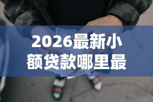 2026最新小额贷款哪里最可靠，总结十个网贷那些是正规平台！