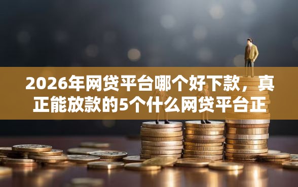 2026年网贷平台哪个好下款，真正能放款的5个什么网贷平台正规推荐