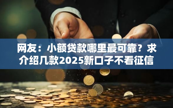 网友：小额贷款哪里最可靠？求介绍几款2025新口子不看征信