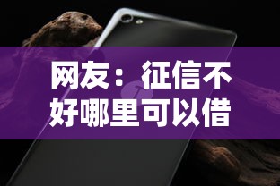 网友：征信不好哪里可以借钱？求介绍几款黑征信也能贷款的网贷平台