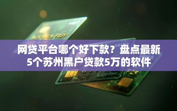 网贷平台哪个好下款？盘点最新5个苏州黑户贷款5万的软件