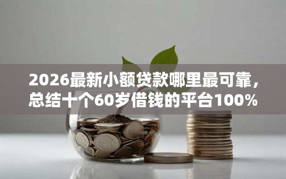 2026最新小额贷款哪里最可靠，总结十个60岁借钱的平台100%能借到！
