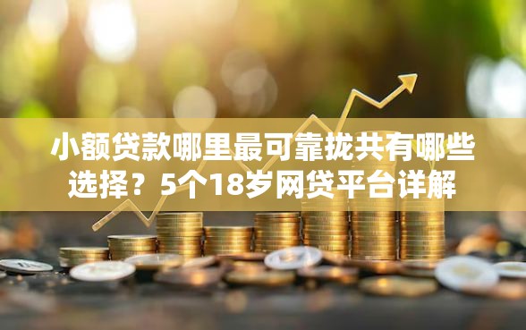 小额贷款哪里最可靠拢共有哪些选择？5个18岁网贷平台详解