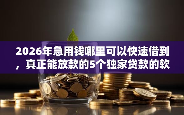 2026年急用钱哪里可以快速借到，真正能放款的5个独家贷款的软件推荐