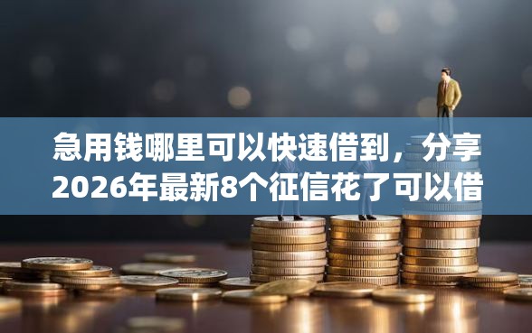 急用钱哪里可以快速借到，分享2026年最新8个征信花了可以借钱的网贷app