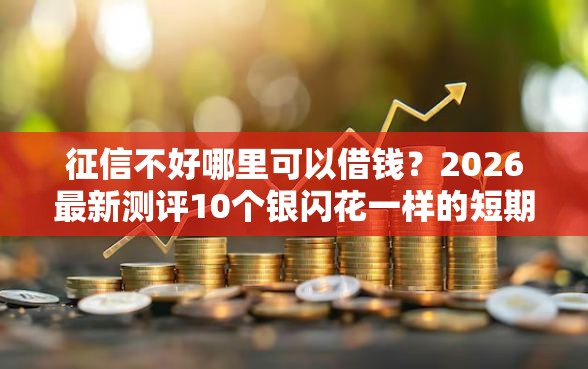 征信不好哪里可以借钱？2026最新测评10个银闪花一样的短期平台
