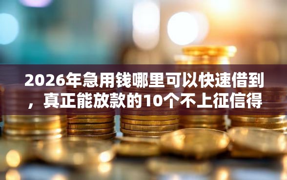 2026年急用钱哪里可以快速借到，真正能放款的10个不上征信得网贷平台下载推荐