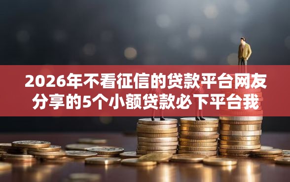 2026年不看征信的贷款平台网友分享的5个小额贷款必下平台我觉得不错！