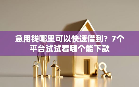 急用钱哪里可以快速借到?7个平台试试看哪个能下款 急用钱哪里可以快速借到?7个平台试试看哪个能下款
