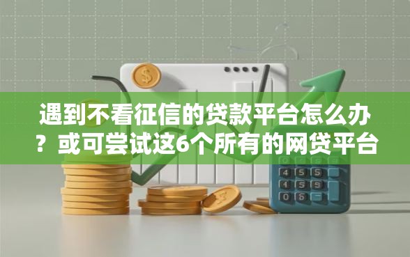 遇到不看征信的贷款平台怎么办？或可尝试这6个所有的网贷平台