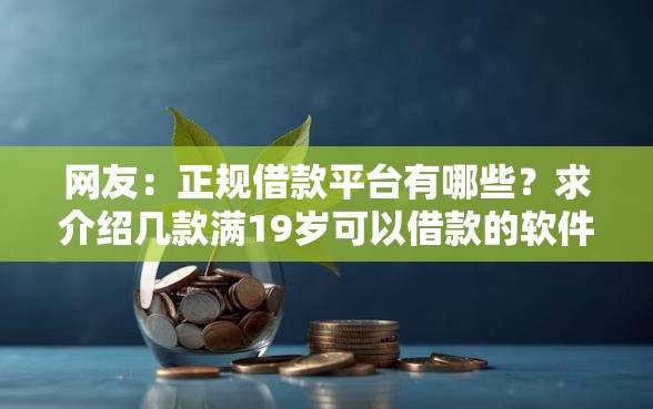 网友：正规借款平台有哪些？求介绍几款满19岁可以借款的软件