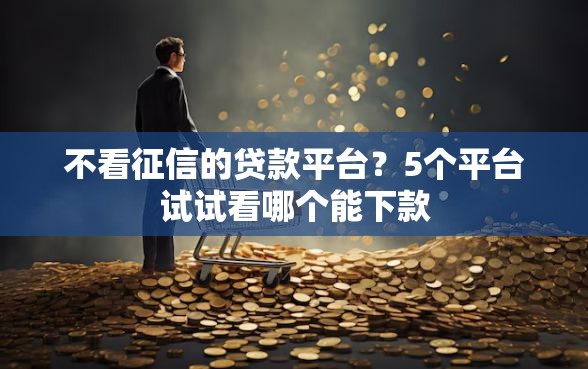 不看征信的贷款平台？5个平台试试看哪个能下款