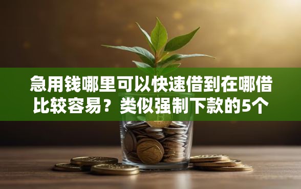 急用钱哪里可以快速借到在哪借比较容易?类似强制下款的5个口子参考 急用钱哪里可以快速借到在哪借比较容易?类似强制下款的5个口子参考
