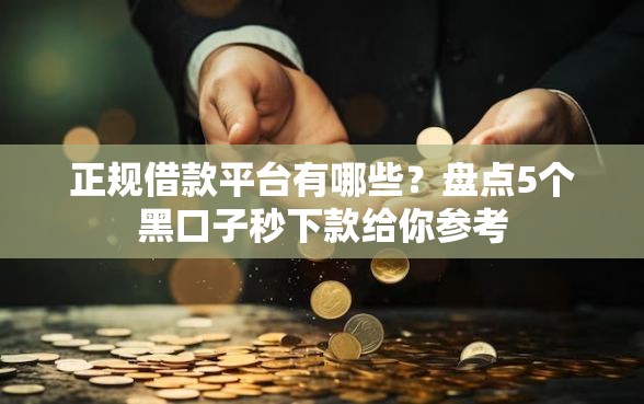 正规借款平台有哪些?盘点5个黑口子秒下款给你参考 正规借款平台有哪些?盘点5个黑口子秒下款给你参考