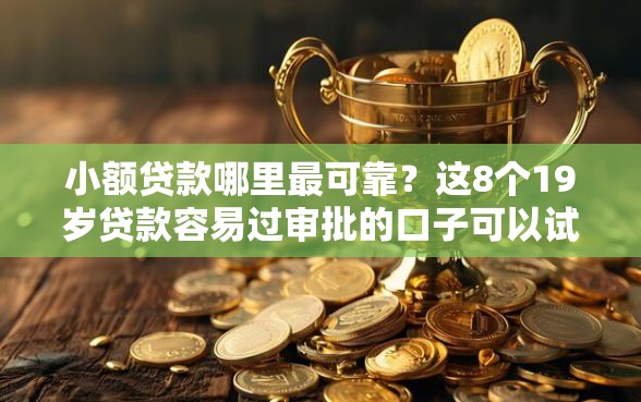 小额贷款哪里最可靠?这8个19岁贷款容易过审批的口子可以试试 小额贷款哪里最可靠?这8个19岁贷款容易过审批的口子可以试试