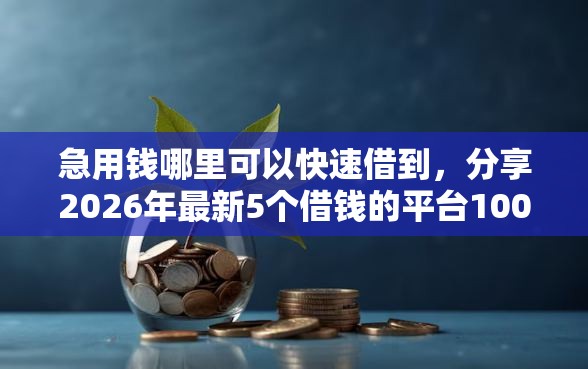 急用钱哪里可以快速借到，分享2026年最新5个借钱的平台100%能借到