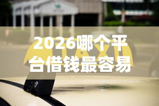 2026哪个平台借钱最容易通过，差20000元就选这8个平台
