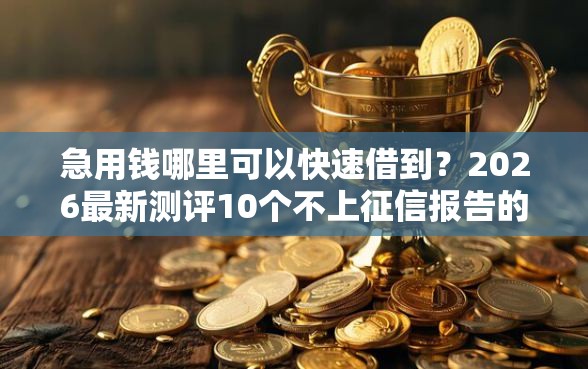 急用钱哪里可以快速借到？2026最新测评10个不上征信报告的贷款平台