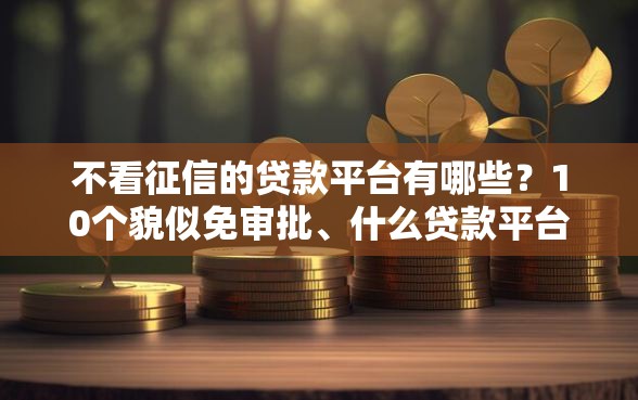 不看征信的贷款平台有哪些？10个貌似免审批、什么贷款平台额度高合集