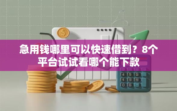 急用钱哪里可以快速借到？8个平台试试看哪个能下款