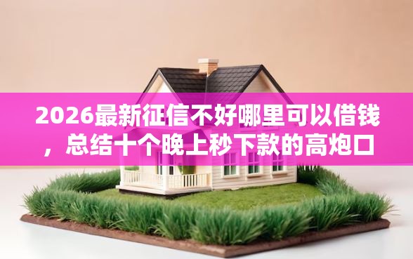 2026最新征信不好哪里可以借钱，总结十个晚上秒下款的高炮口子！