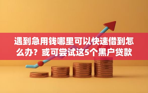 遇到急用钱哪里可以快速借到怎么办？或可尝试这5个黑户贷款的口子必下app