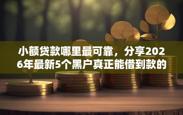 小额贷款哪里最可靠，分享2026年最新5个黑户真正能借到款的口子
