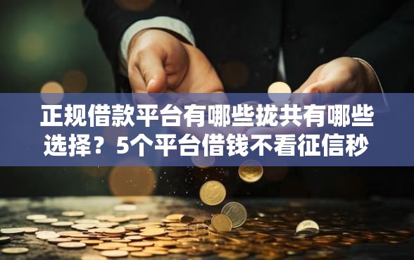 正规借款平台有哪些拢共有哪些选择？5个平台借钱不看征信秒到账详解
