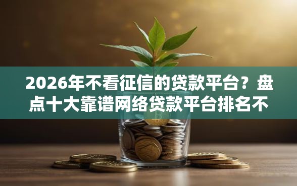 2026年不看征信的贷款平台？盘点十大靠谱网络贷款平台排名不分先后
