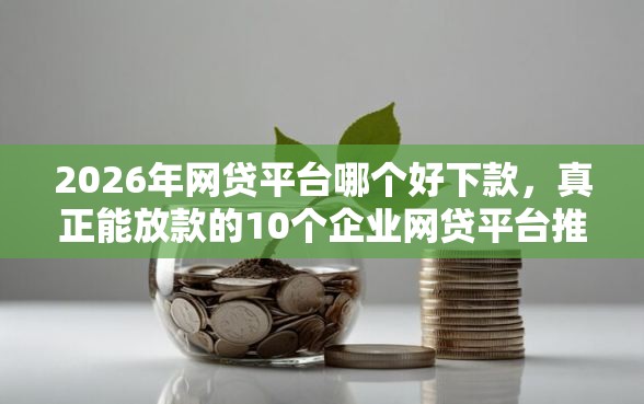 2026年网贷平台哪个好下款，真正能放款的10个企业网贷平台推荐