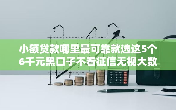 小额贷款哪里最可靠就选这5个6千元黑口子不看征信无视大数据