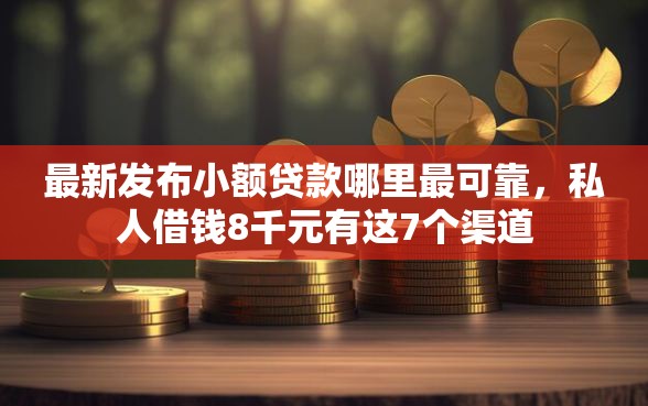 最新发布小额贷款哪里最可靠，私人借钱8千元有这7个渠道