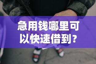急用钱哪里可以快速借到？十大上海网贷是平台推荐