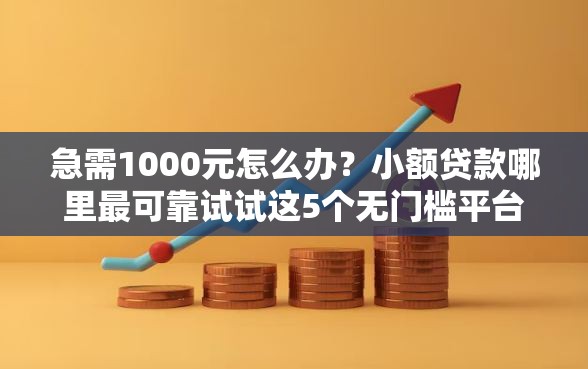 急需1000元怎么办？小额贷款哪里最可靠试试这5个无门槛平台