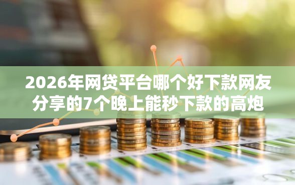 2026年网贷平台哪个好下款网友分享的7个晚上能秒下款的高炮口子我觉得不错！
