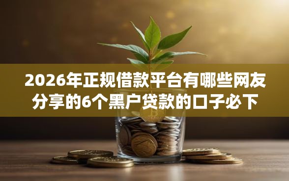 2026年正规借款平台有哪些网友分享的6个黑户贷款的口子必下app我觉得不错！