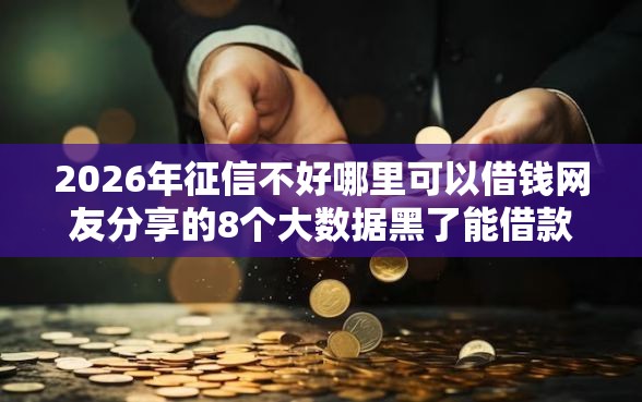 2026年征信不好哪里可以借钱网友分享的8个大数据黑了能借款的平台我觉得不错！