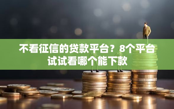 不看征信的贷款平台?8个平台试试看哪个能下款 不看征信的贷款平台?8个平台试试看哪个能下款