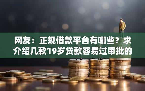 网友：正规借款平台有哪些？求介绍几款19岁贷款容易过审批的平台