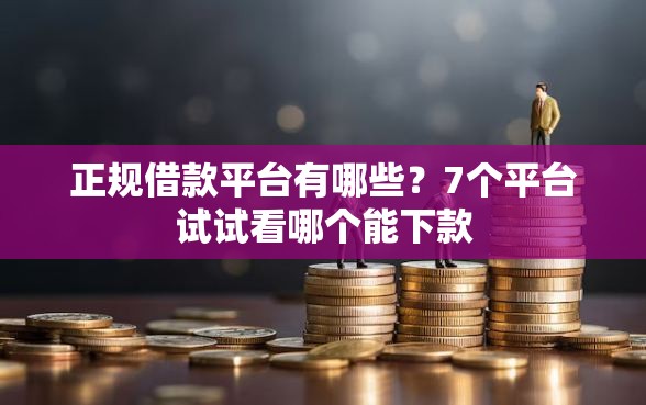 正规借款平台有哪些？7个平台试试看哪个能下款