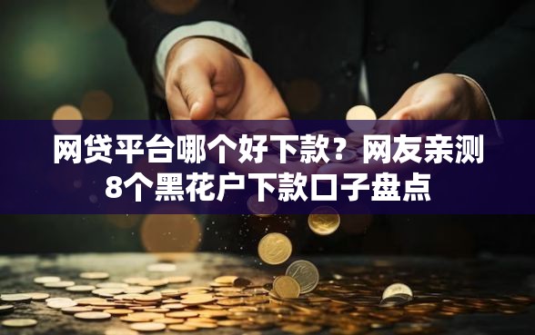 网贷平台哪个好下款？网友亲测8个黑花户下款口子盘点