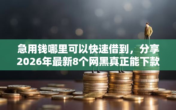 急用钱哪里可以快速借到，分享2026年最新8个网黑真正能下款的口子