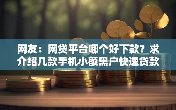 网友：网贷平台哪个好下款？求介绍几款手机小额黑户快速贷款口子
