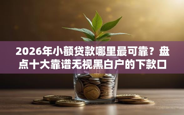2026年小额贷款哪里最可靠？盘点十大靠谱无视黑白户的下款口子