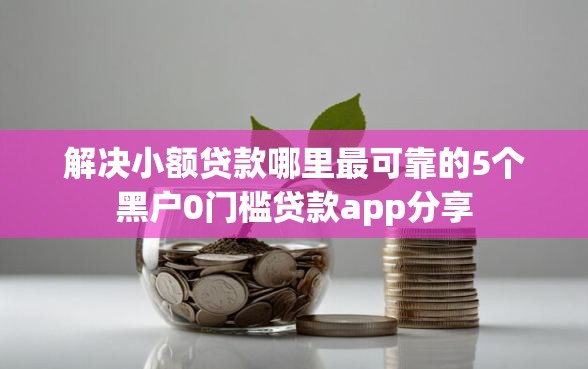 解决小额贷款哪里最可靠的5个黑户0门槛贷款app分享