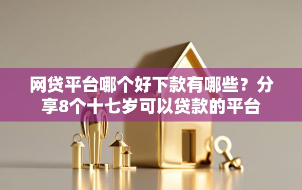 网贷平台哪个好下款有哪些？分享8个十七岁可以贷款的平台